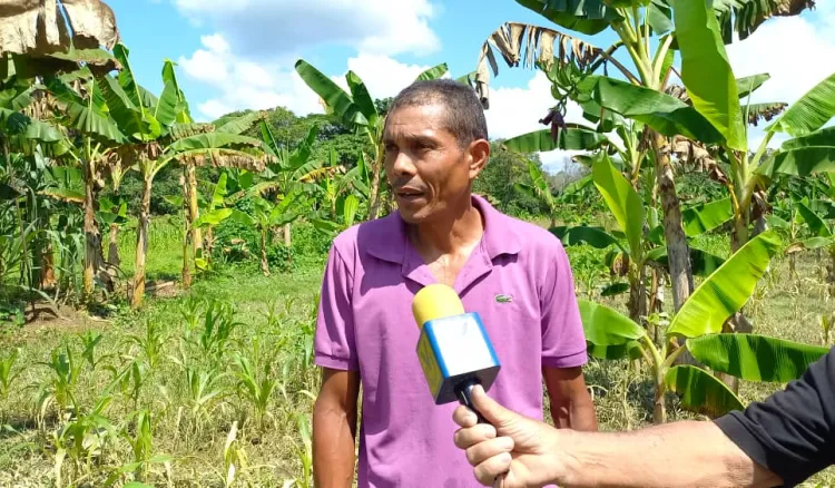 familias del sector motores