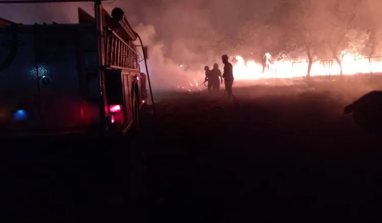 incendio terrenos unellez del
