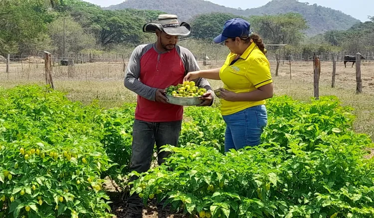 gente agricultura familiar