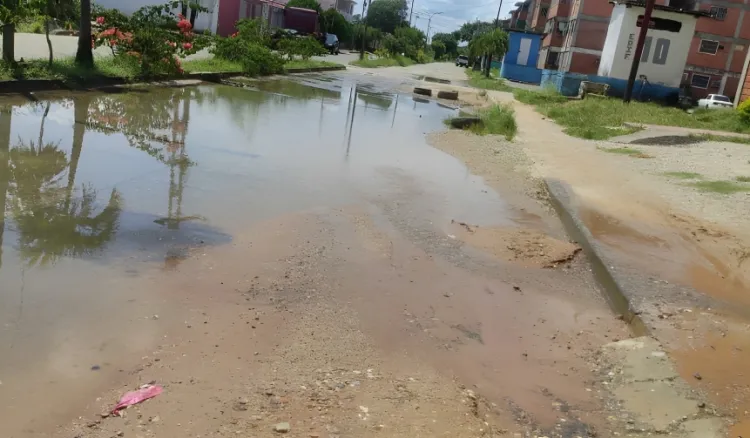 chaguaramos denuncian