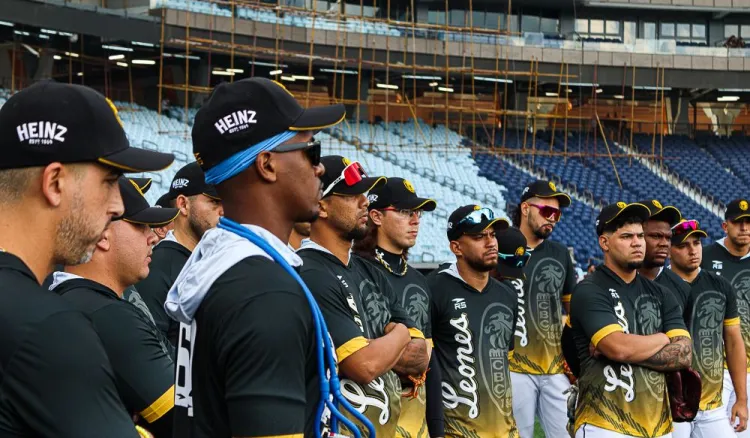 leones del caracas staff técnico campaña 2024-2025