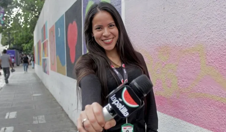 periodista ana carolina guaita