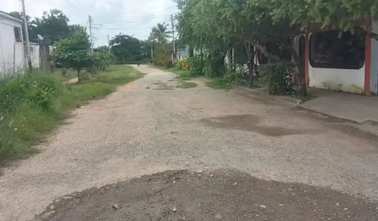 del familias sector san carlos solicitan