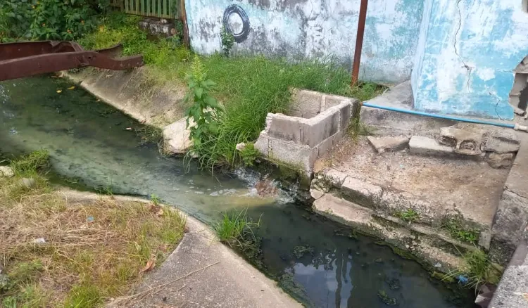 están aguas